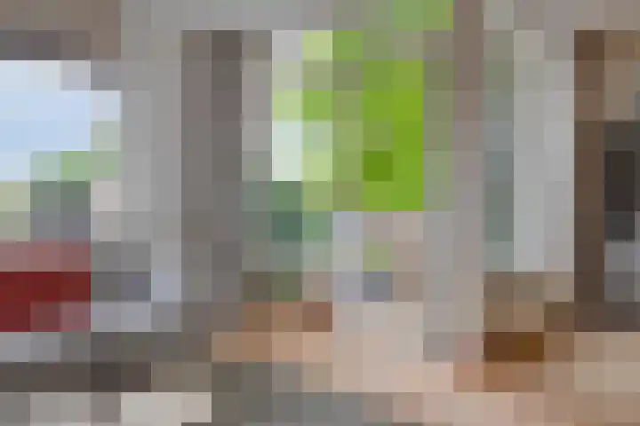 De Wetering 3 Ouderkerk aan den IJssel thumbnail 6