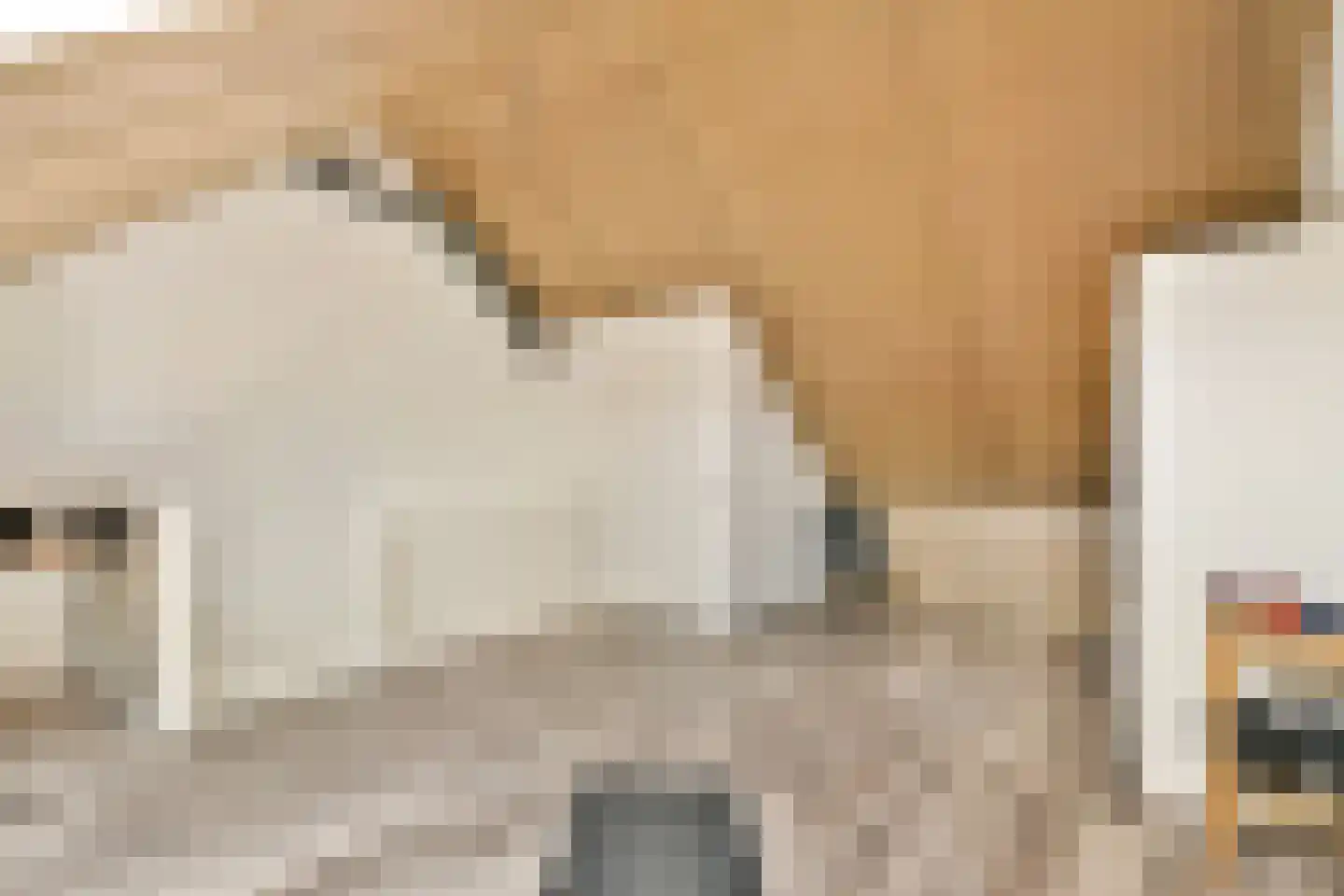 De Wetering 33 Spijkenisse thumbnail 23