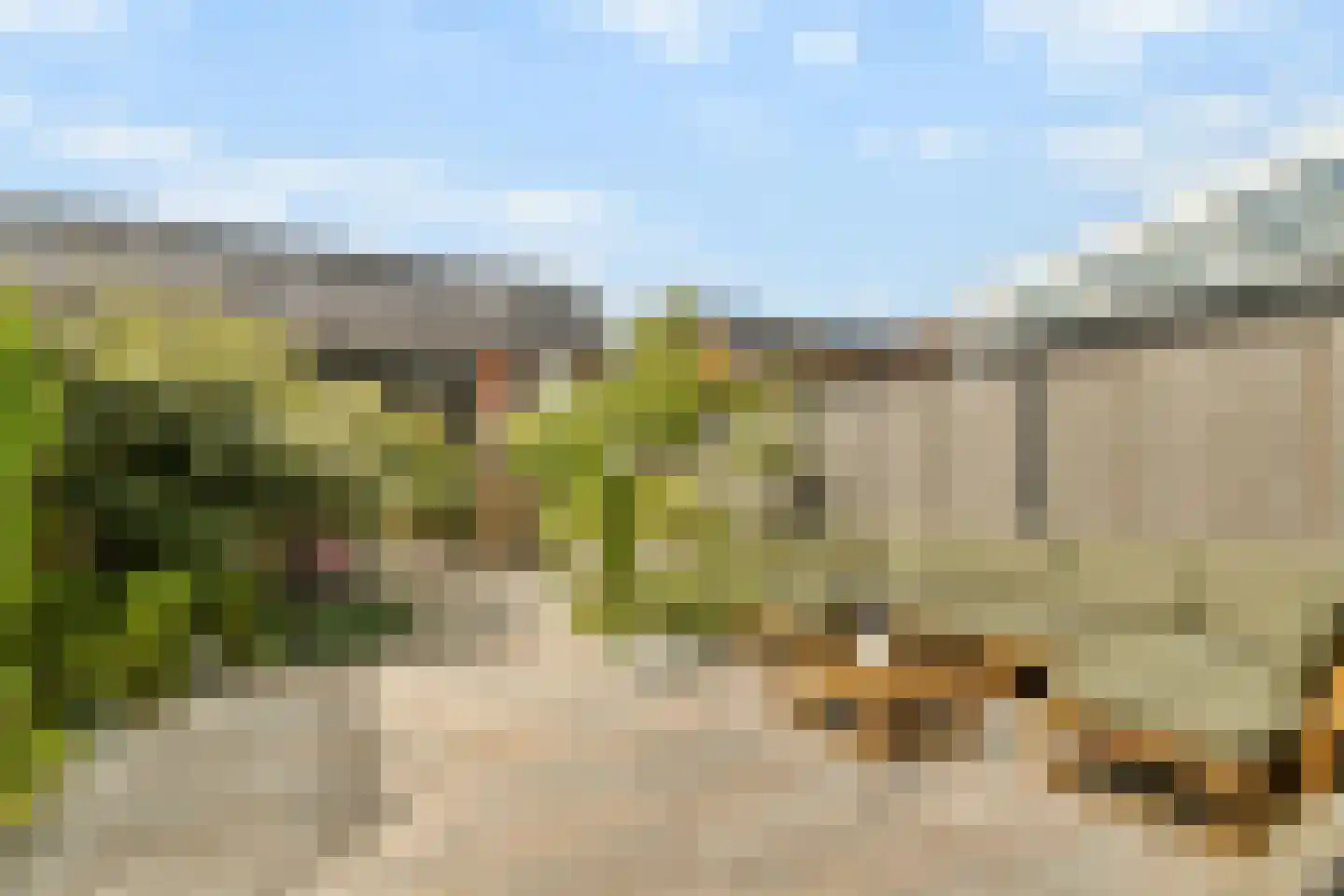 De Wetering 33 Spijkenisse thumbnail 25