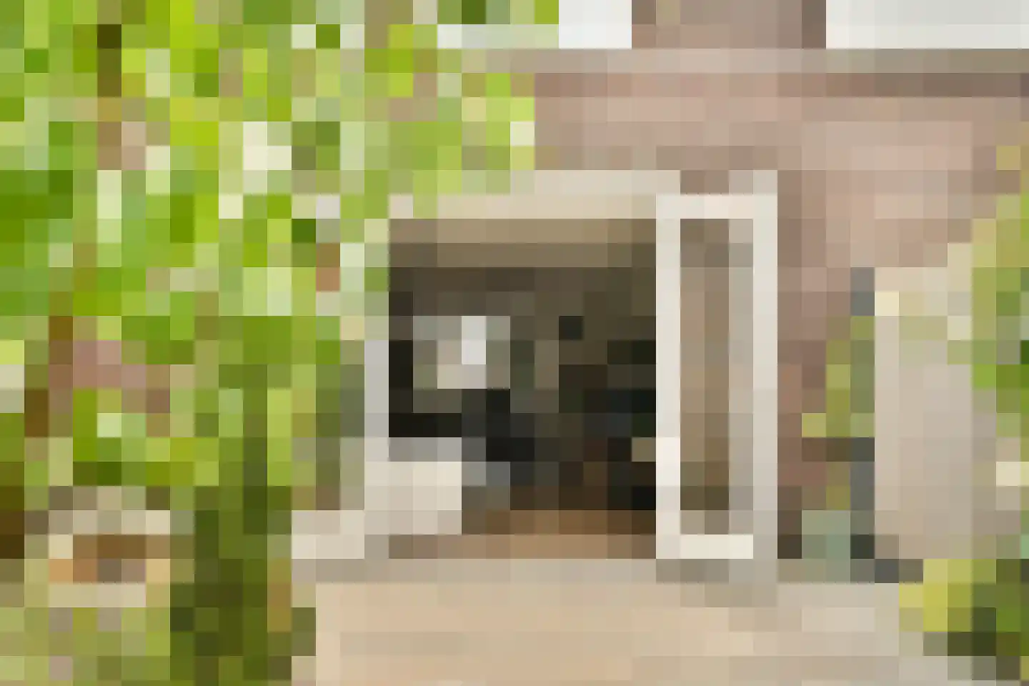 De Wetering 33 Spijkenisse thumbnail 27