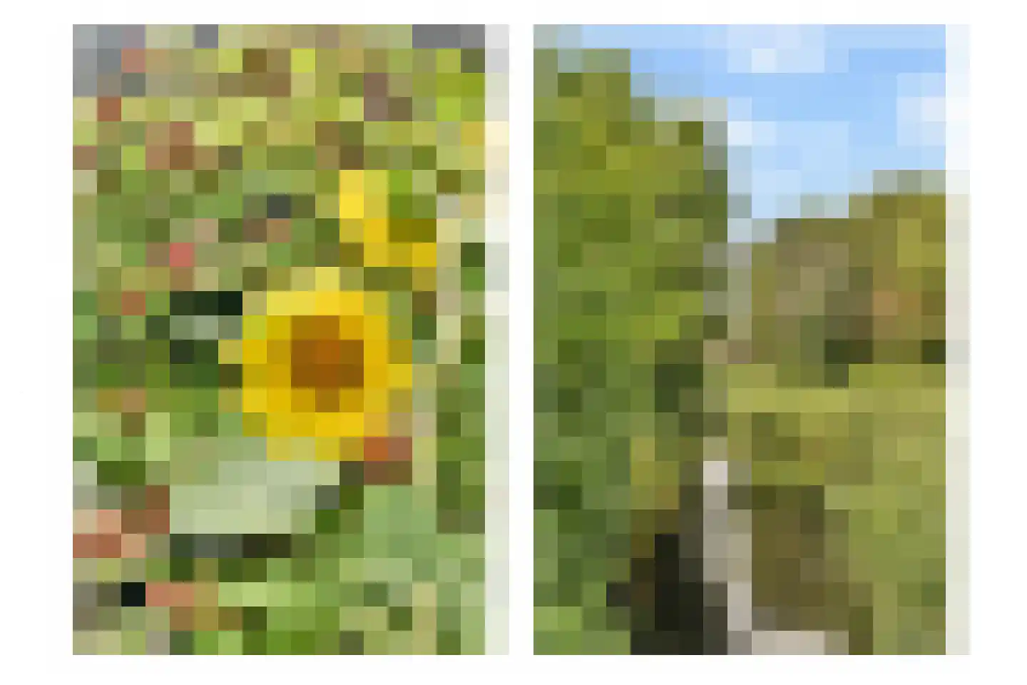 De Wetering 33 Spijkenisse thumbnail 32