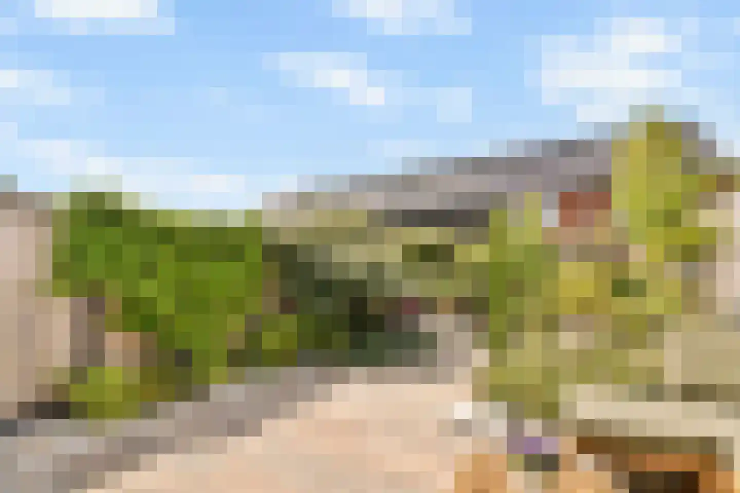 De Wetering 33 Spijkenisse thumbnail 5