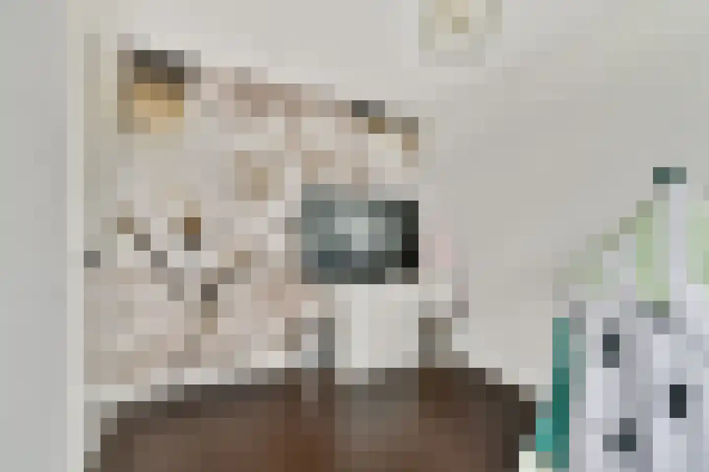 De Wetering 37 Spijkenisse thumbnail 24
