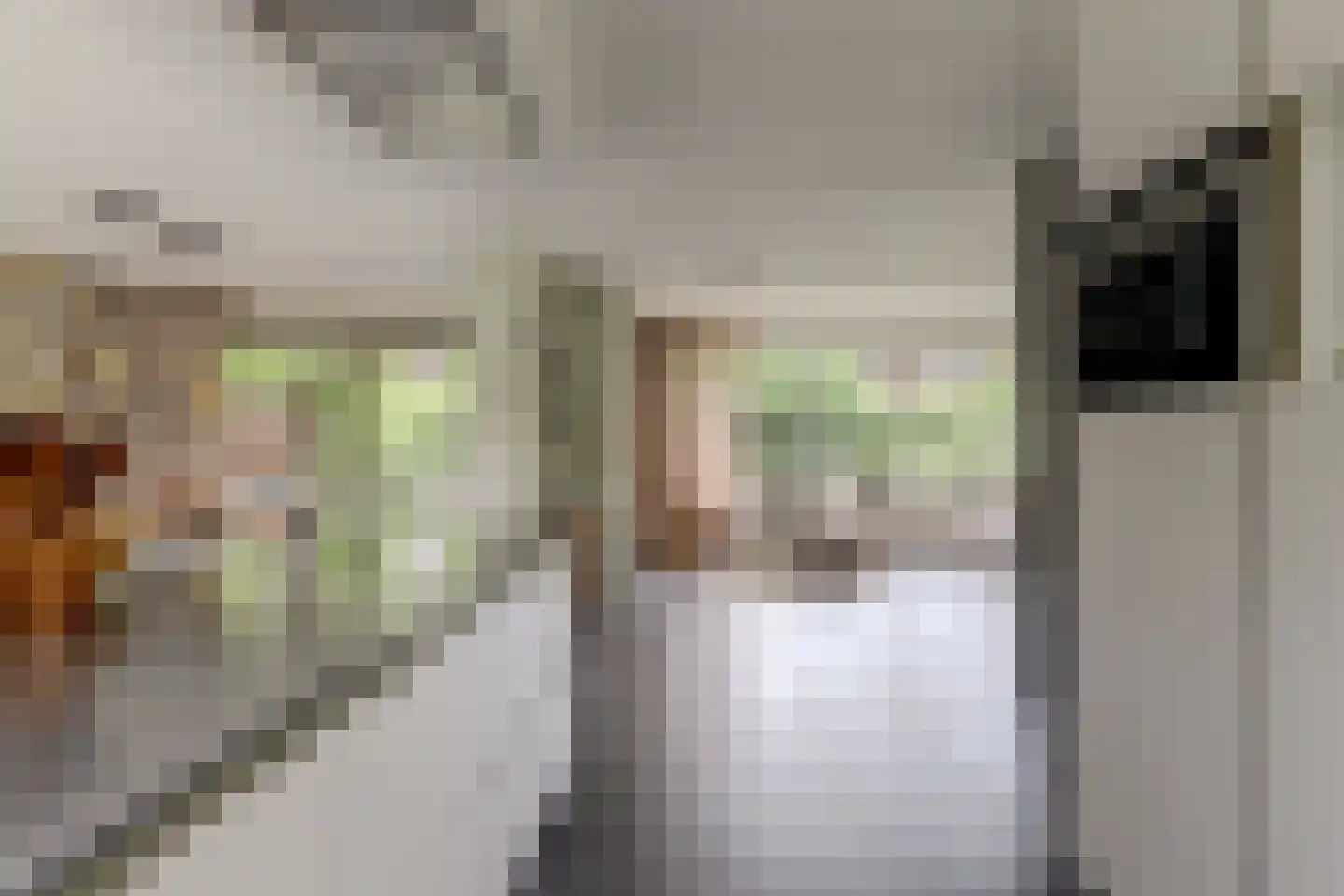 De Wetering 44 Leeuwarden thumbnail 17