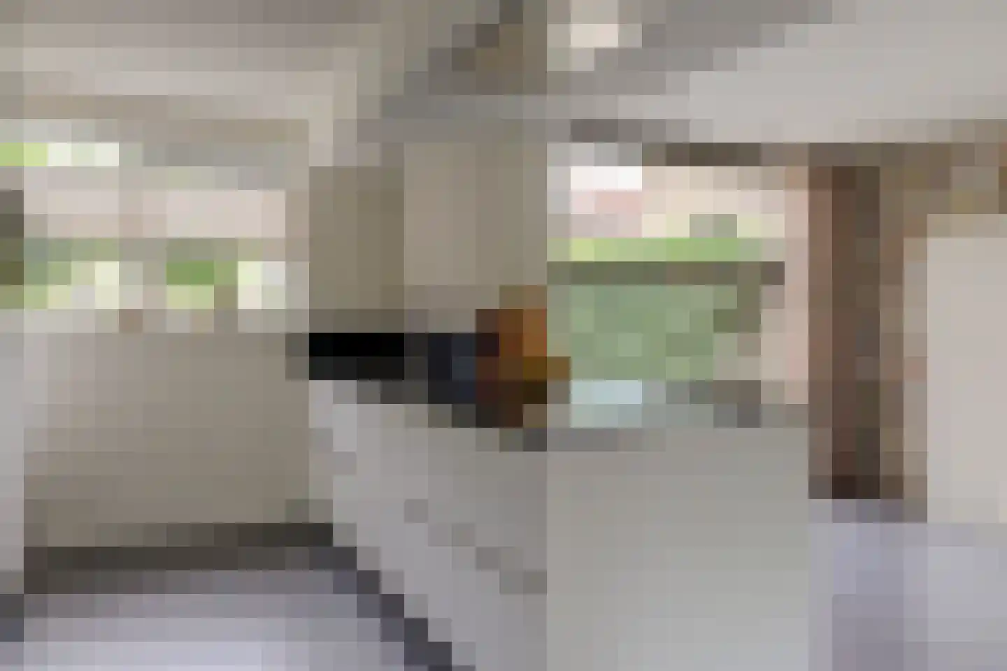 De Wetering 44 Leeuwarden thumbnail 20