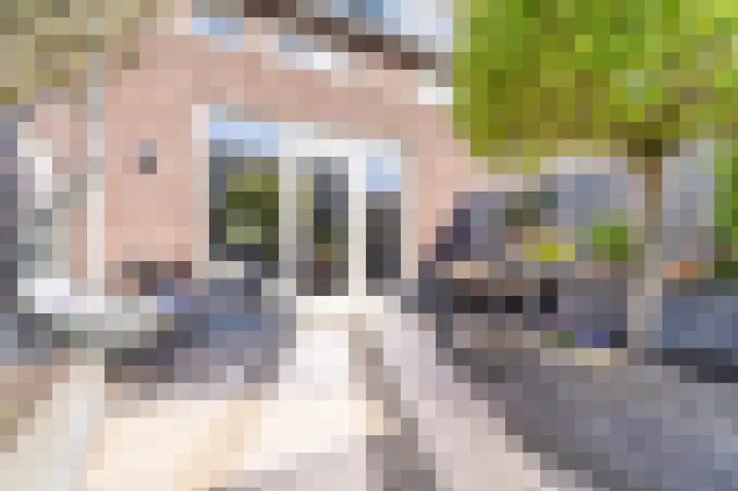 De Wetering 5 Spijkenisse thumbnail 21