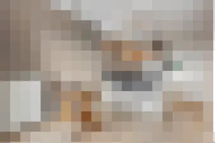 De Weteringsehof 3 Woudenberg thumbnail 17