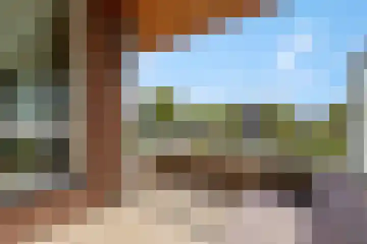 De Weteringsehof 3 Woudenberg thumbnail 22