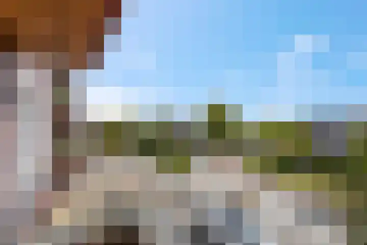 De Weteringsehof 3 Woudenberg thumbnail 23