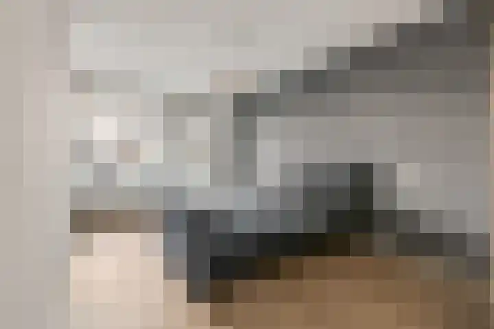 De Weteringsehof 3 Woudenberg thumbnail 27