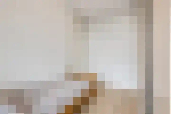 De Weteringsehof 3 Woudenberg thumbnail 31