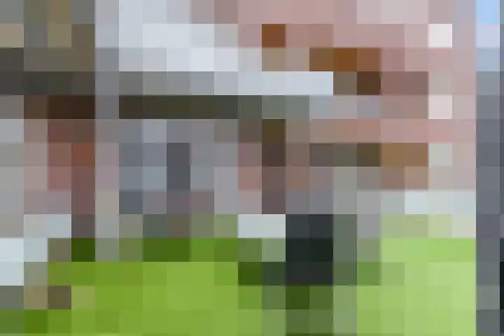 De Weteringsehof 3 Woudenberg thumbnail 36