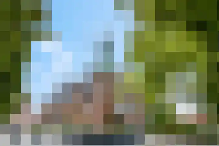 De Weteringsehof 3 Woudenberg thumbnail 42