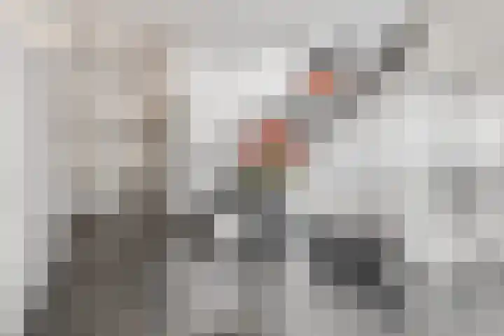 De Weteringsehof 3 Woudenberg thumbnail 7