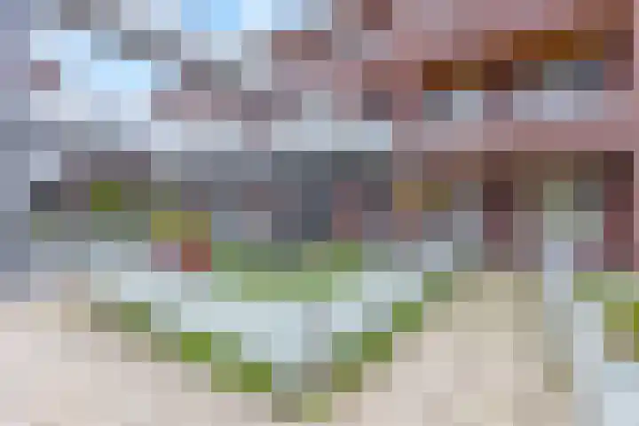 De Weteringsehof 3 Woudenberg thumbnail 8