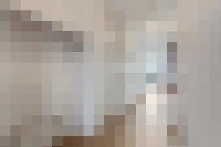 De Weteringsehof 3 Woudenberg thumbnail 9