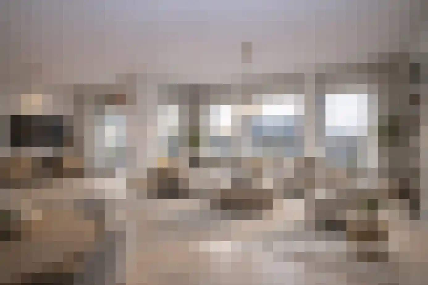 De Weteringsehof 4 Woudenberg thumbnail 16