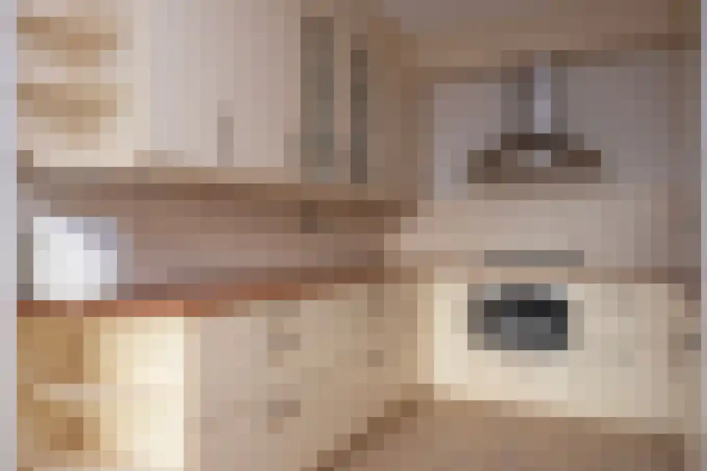 De Weteringsehof 4 Woudenberg thumbnail 19