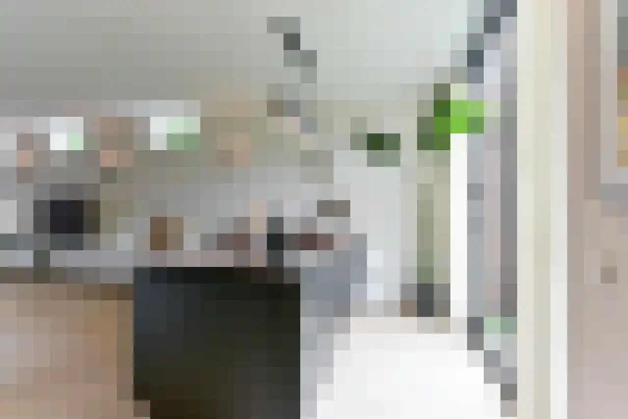 De Wetlaan 1 Zeist thumbnail 13
