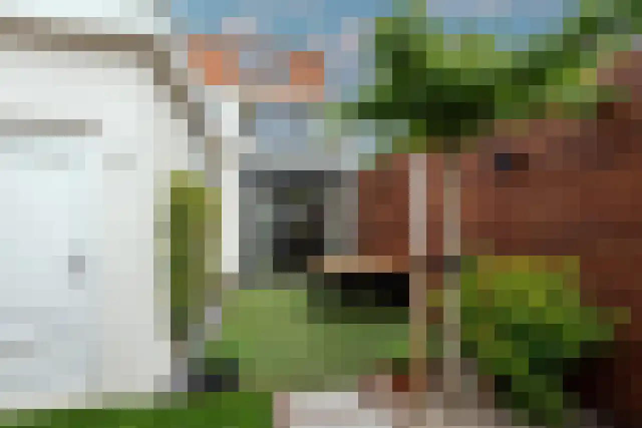 De Wetlaan 1 Zeist thumbnail 20