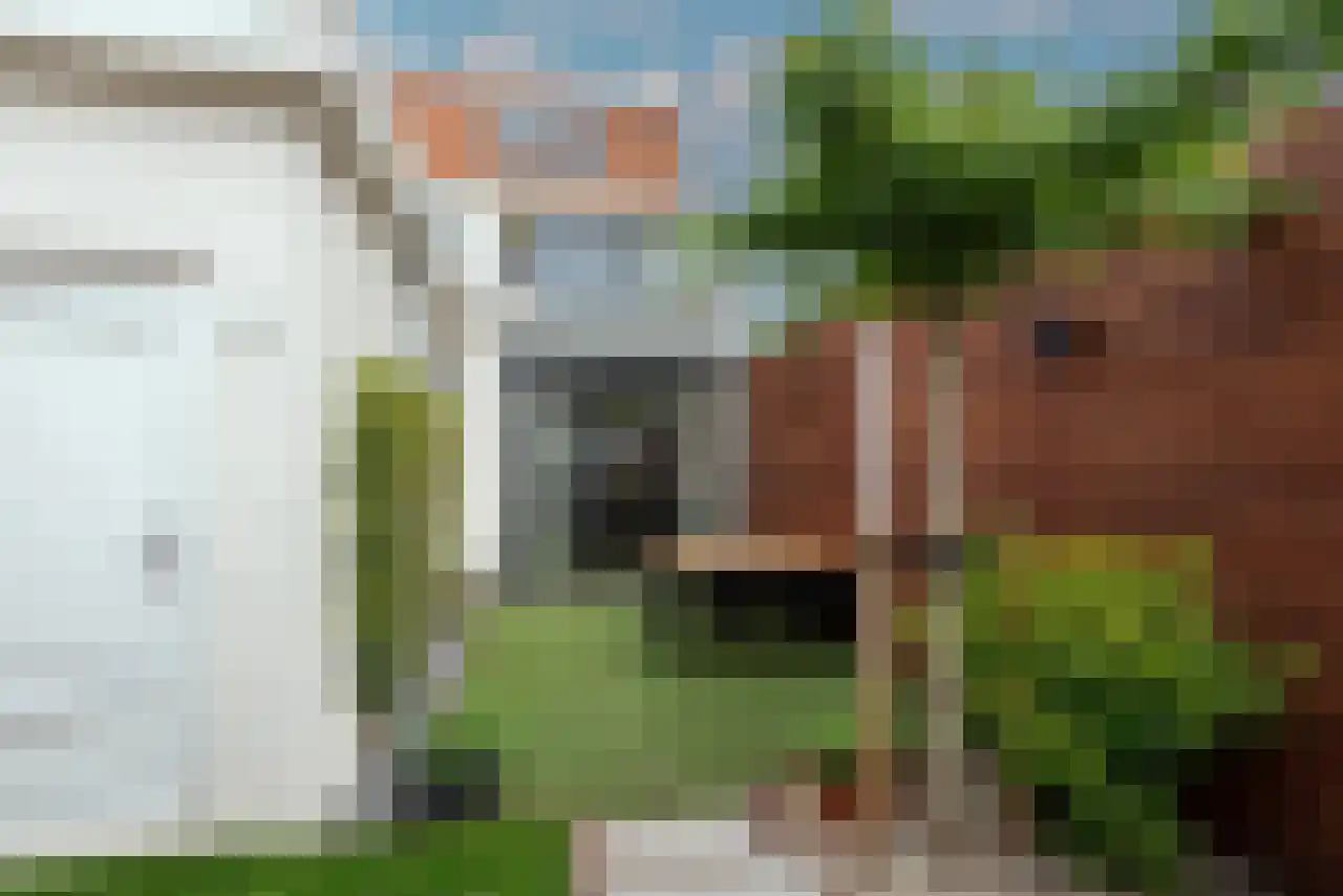 De Wetlaan 1 Zeist thumbnail 20