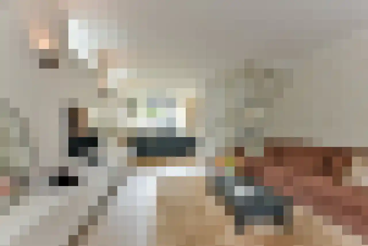 De Wetlaan 1 Zeist thumbnail 8