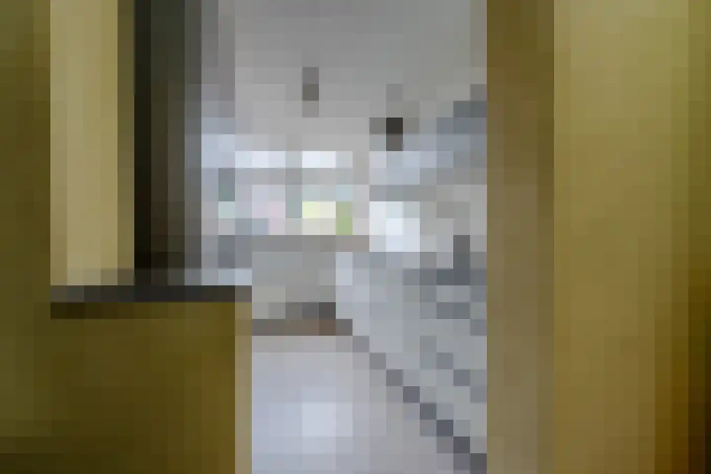 De Wetlaan 15 Zeist thumbnail 10