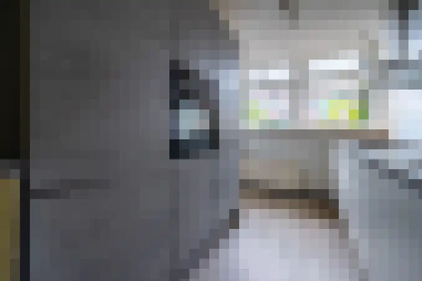 De Wetlaan 15 Zeist thumbnail 12