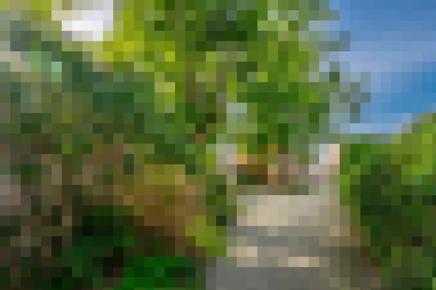 De Wetlaan 15 Zeist thumbnail 31