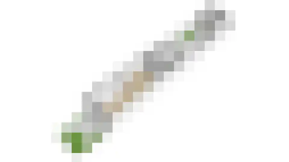 De Wetlaan 15 Zeist thumbnail 39