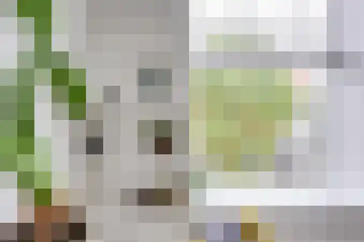 De Wetlaan 26 Zeist thumbnail 12