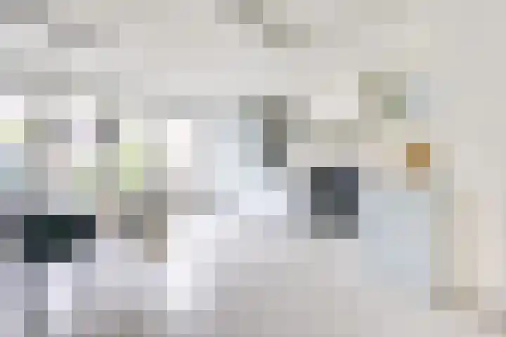 De Wetlaan 26 Zeist thumbnail 16