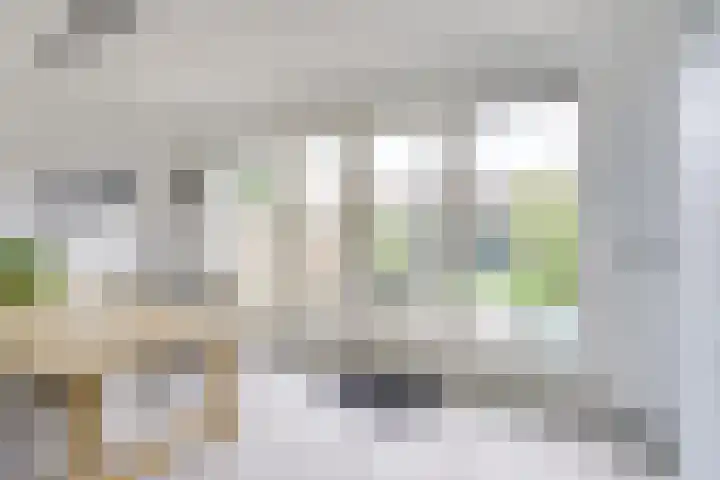 De Wetlaan 26 Zeist thumbnail 18