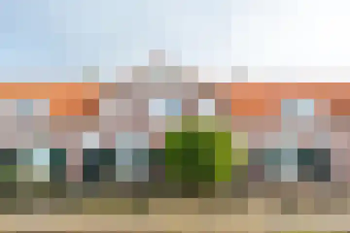 De Wetlaan 26 Zeist foto 2