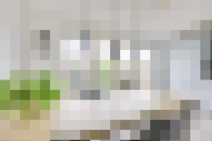 De Wetlaan 26 Zeist thumbnail 20