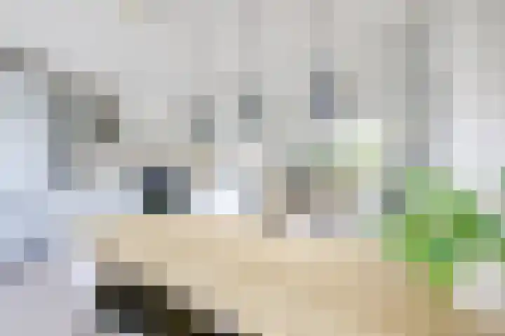 De Wetlaan 26 Zeist thumbnail 21