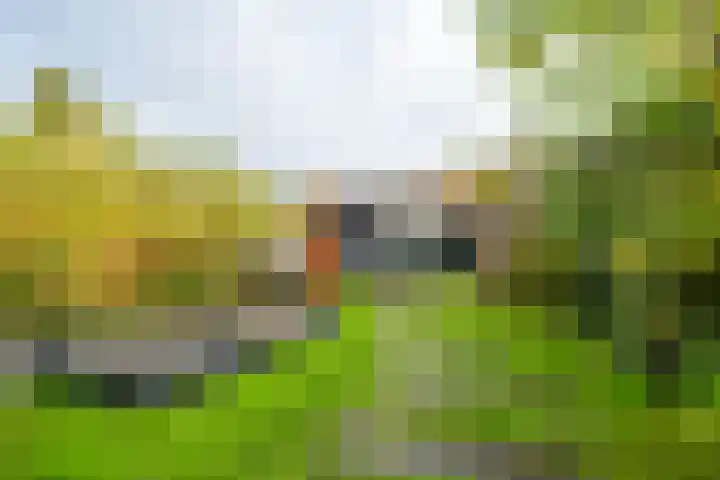 De Wetlaan 26 Zeist thumbnail 24