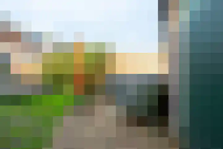 De Wetlaan 26 Zeist thumbnail 25