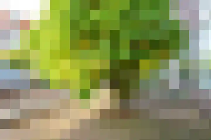 De Wetlaan 26 Zeist thumbnail 45