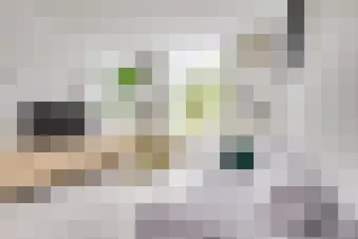 De Wetlaan 26 Zeist thumbnail 8