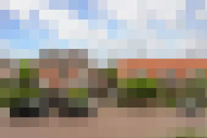 De Wetlaan 35 B Zeist thumbnail 11