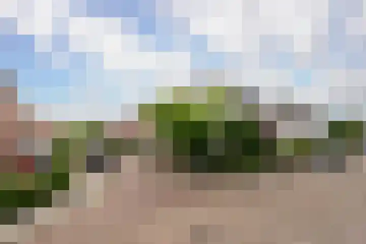 De Wetlaan 35 B Zeist thumbnail 32