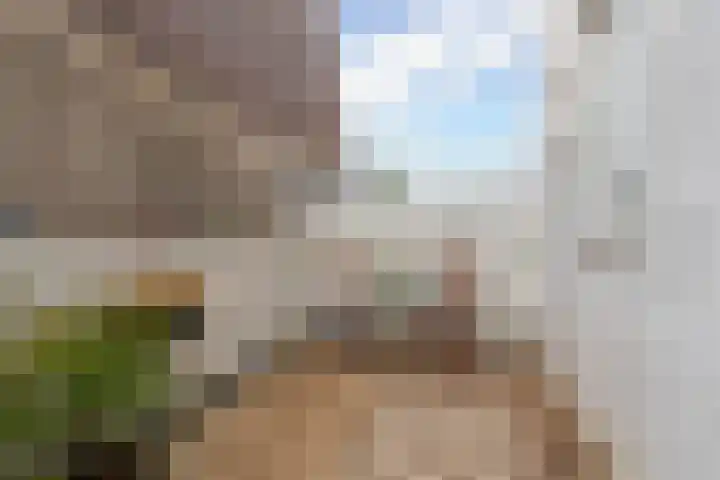De Wetlaan 35 B Zeist thumbnail 9