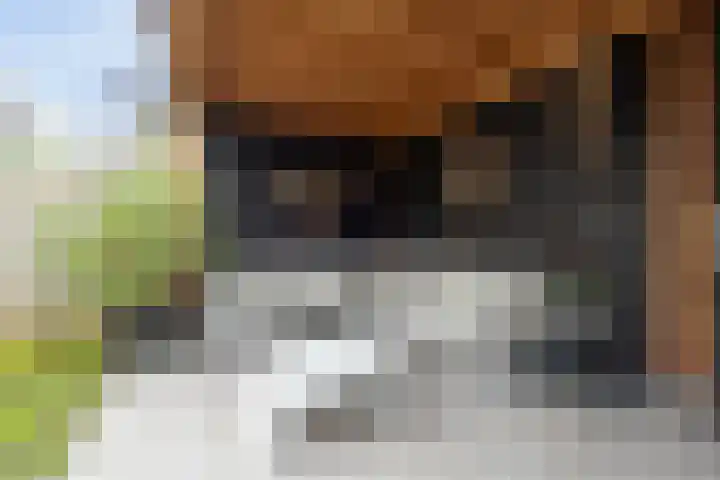 De Wetlaan 5 Zeist thumbnail 18