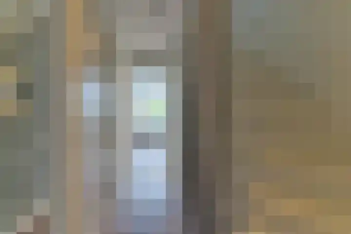 De Wetlaan 5 Zeist thumbnail 21