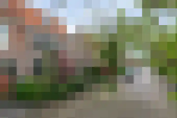 De Wetlaan 5 Zeist foto 3