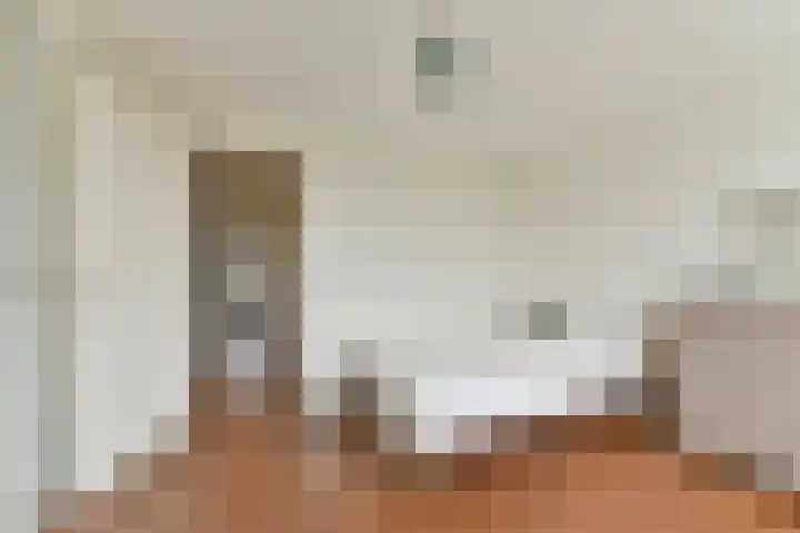 De Wetlaan 5 Zeist thumbnail 30