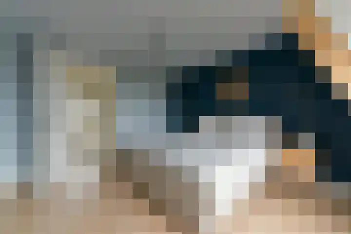De Wetlaan 5 Zeist thumbnail 34