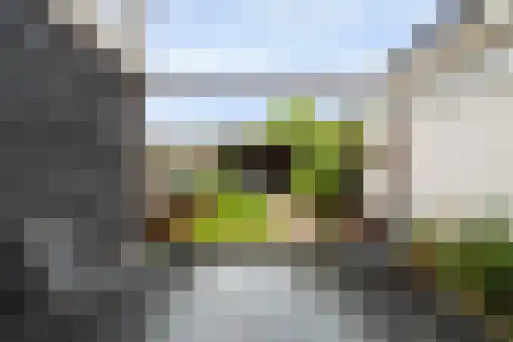 De Wetlaan 5 Zeist thumbnail 4