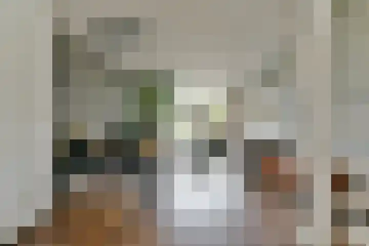 De Wetlaan 5 Zeist thumbnail 7